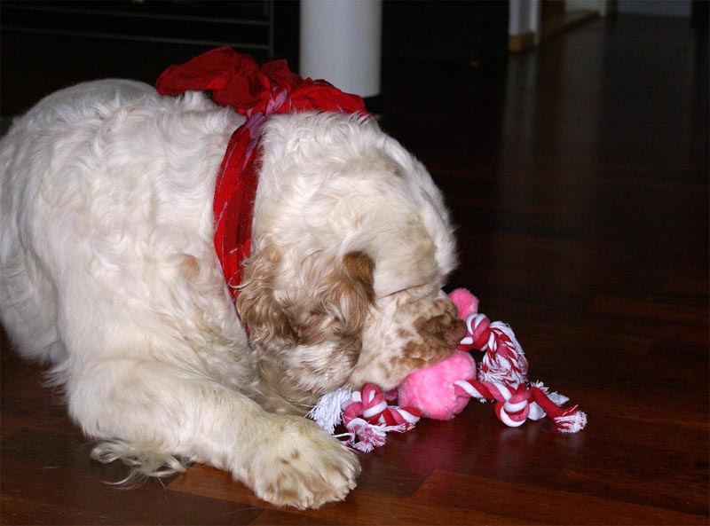 Funky_8th_Birthday_f