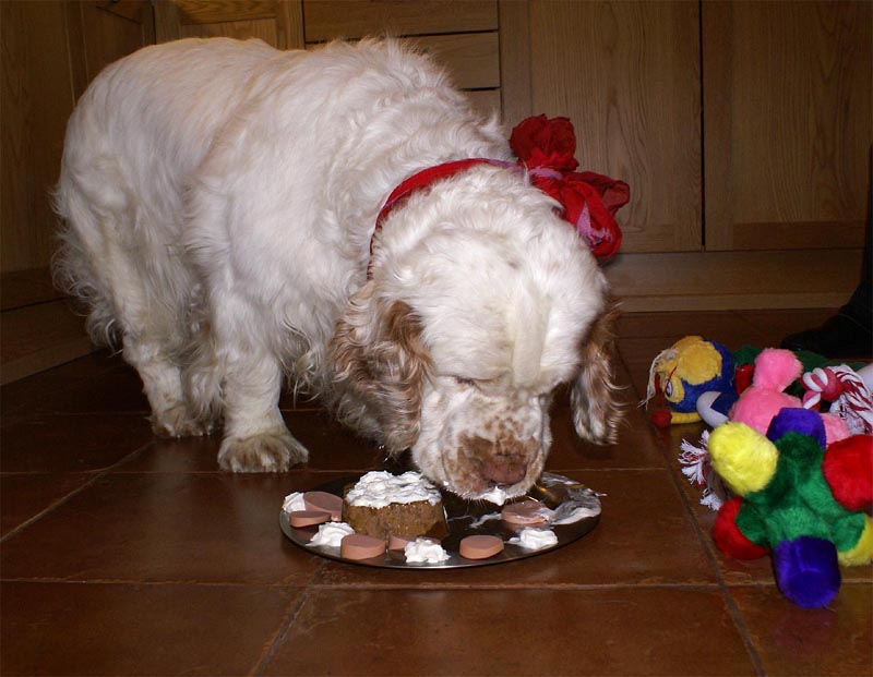 Funky_8th_Birthday_h