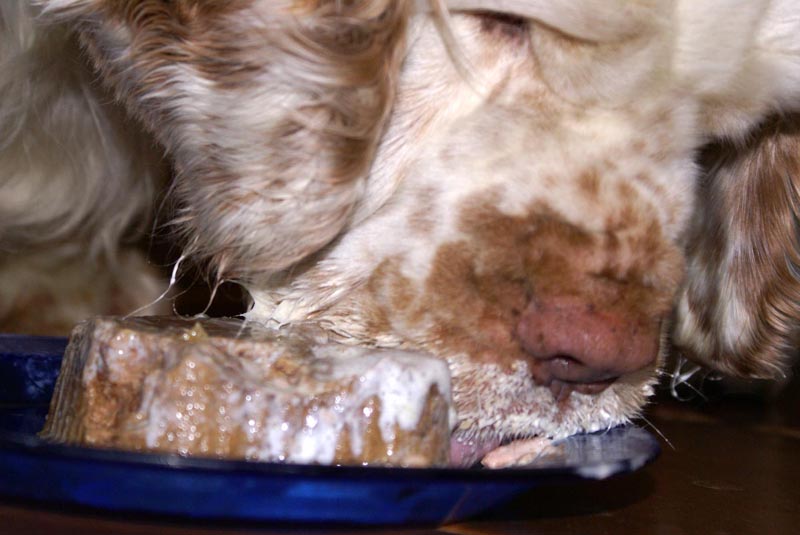 Funky_8th_Birthday_i