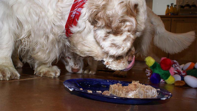 Funky_8th_Birthday_j