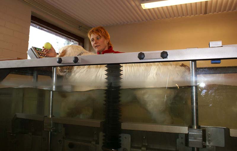 Funky_Physiotheraphy_Sept2007_b