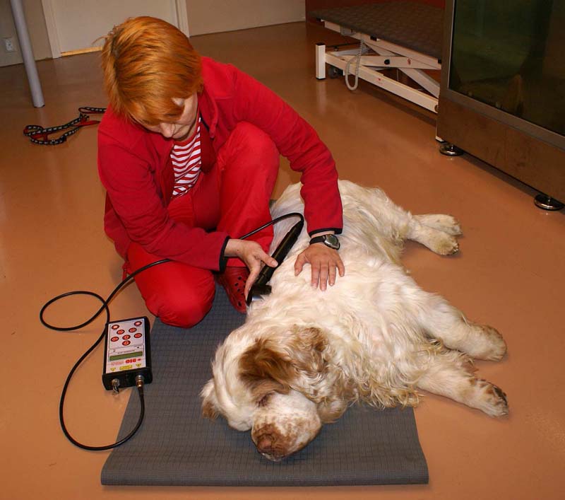 Funky_Physiotheraphy_Sept2007_c