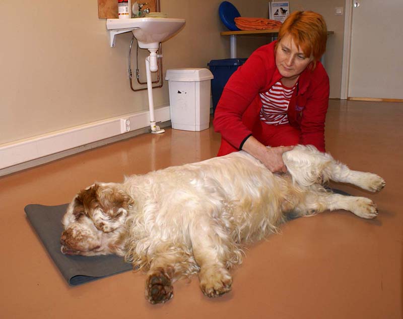 Funky_Physiotheraphy_Sept2007_d