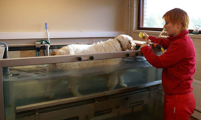 Funky_Physiotheraphy_Sept2007_f