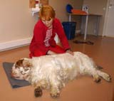 Funky_Physiotheraphy_Sept2007_e