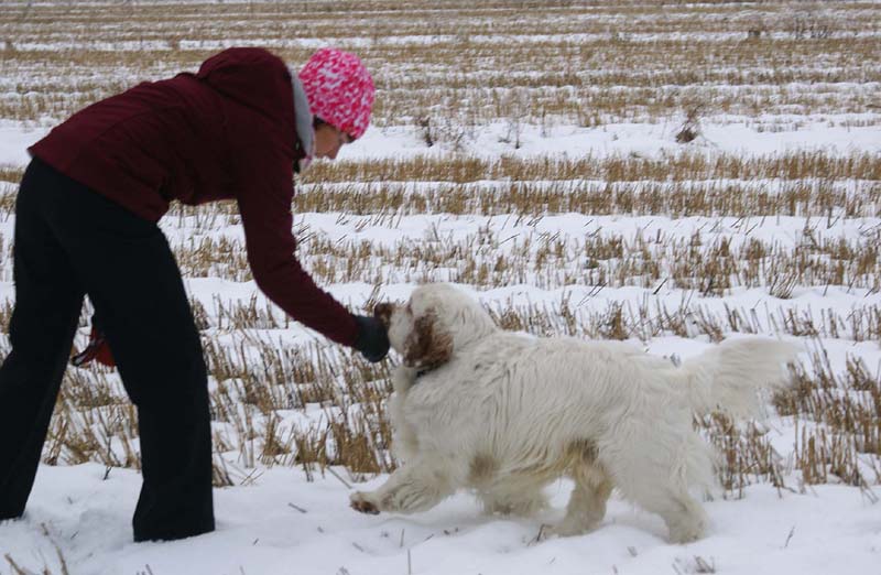 Mambo_Jenni_10Jan2009_b