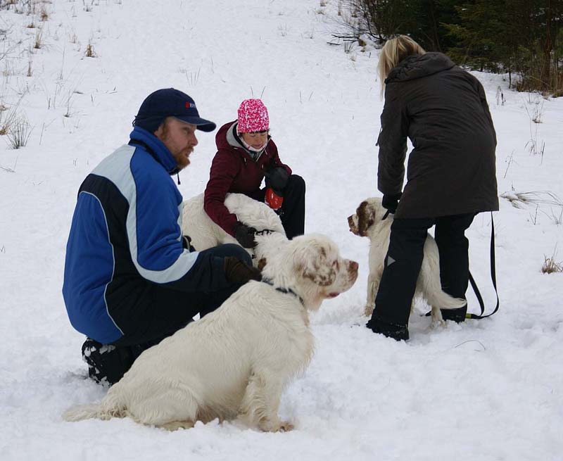 ST_Clumbers_10Jan2009_h