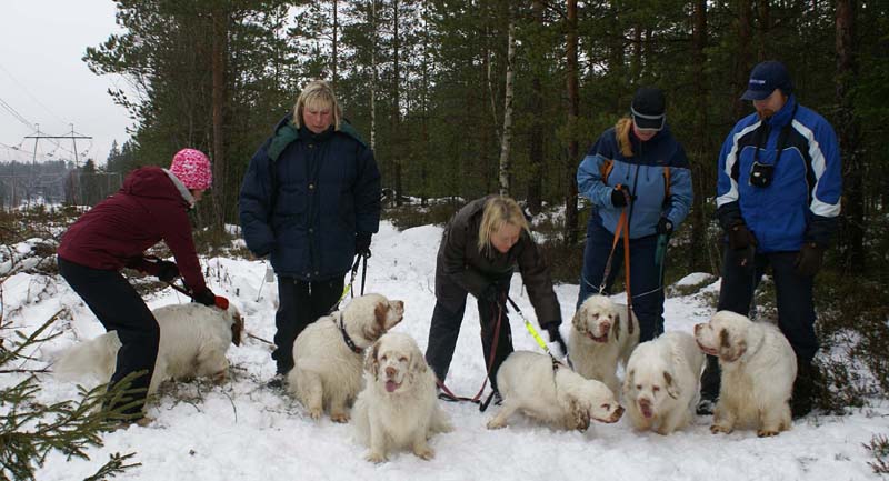 ST_Clumbers_10Jan2009_l