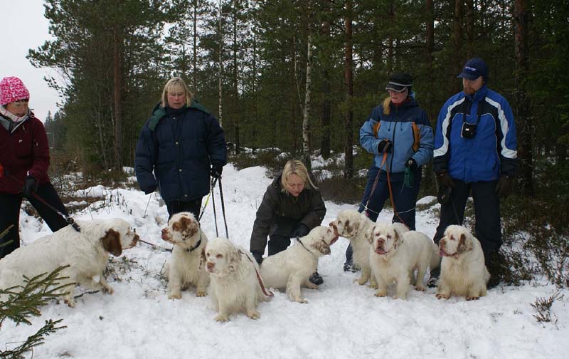 ST_Clumbers_10Jan2009_n