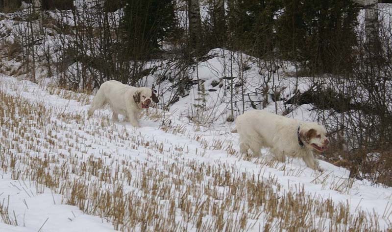 Tage_Crisse_10Jan2009