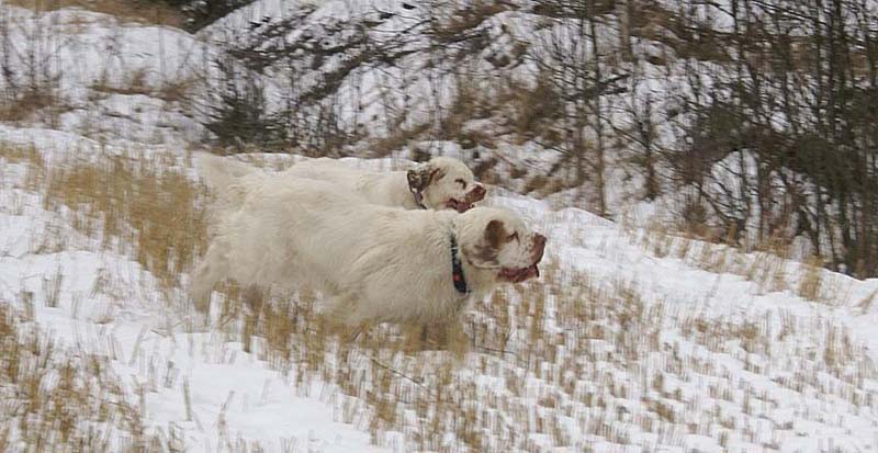 Tage_Crisse_10Jan2009_b