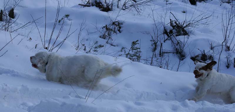 Cotton_Crisse_28Feb2009