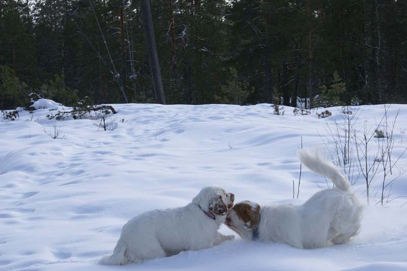 Tage_Crisse_28Feb2009