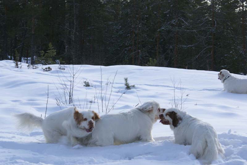 Tage_Ren_Crisse_28Feb2009