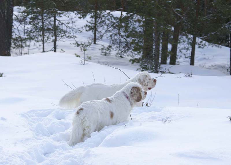 Windy_Reno_28Feb2009