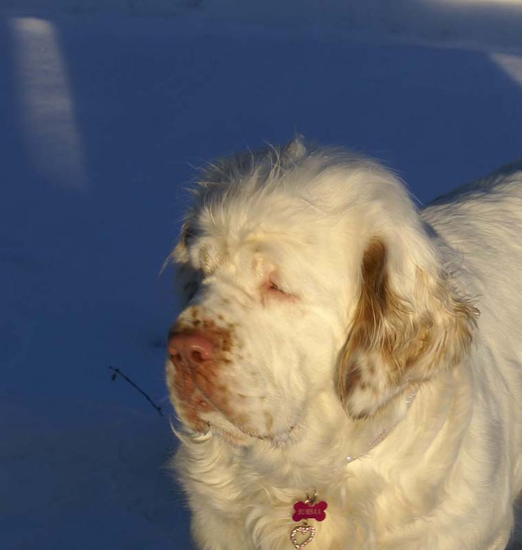 Bumbaa_27March2009_a