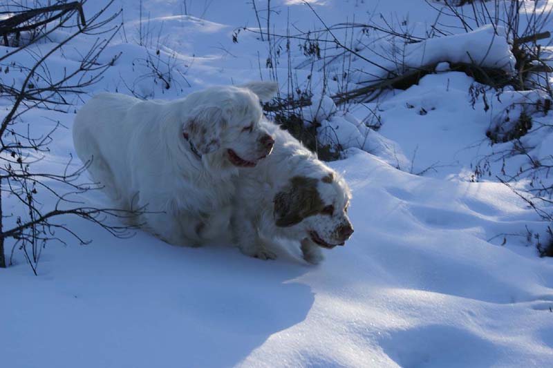 Molly_Reno_27March2009_a