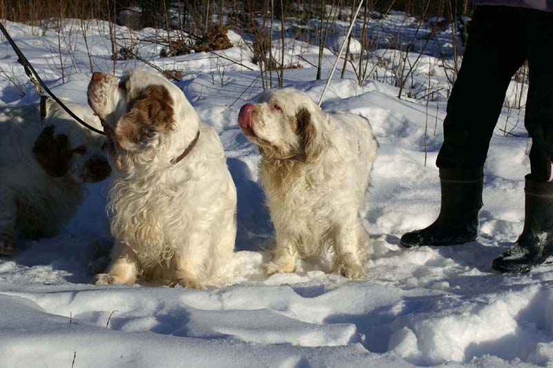 Rosie_Speedy_27March2009_a