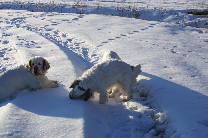 Vito_Molly_27March2009_a