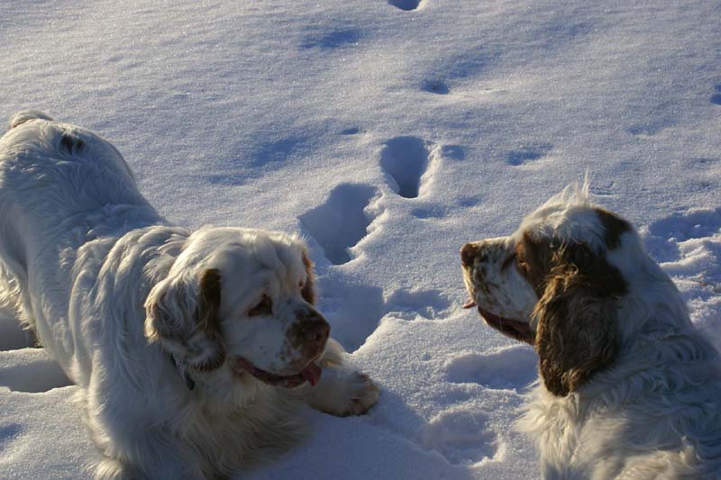 Vito_Molly_27March2009_b