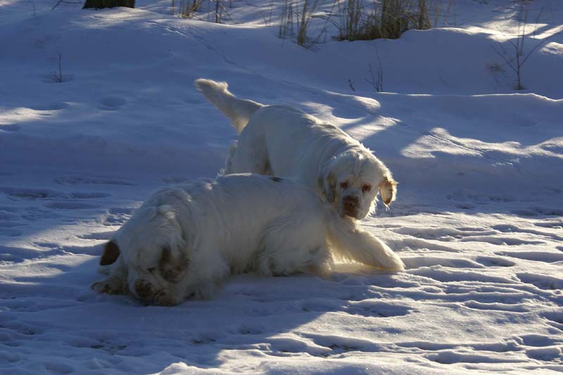 Vito_Reno_27March2009_a