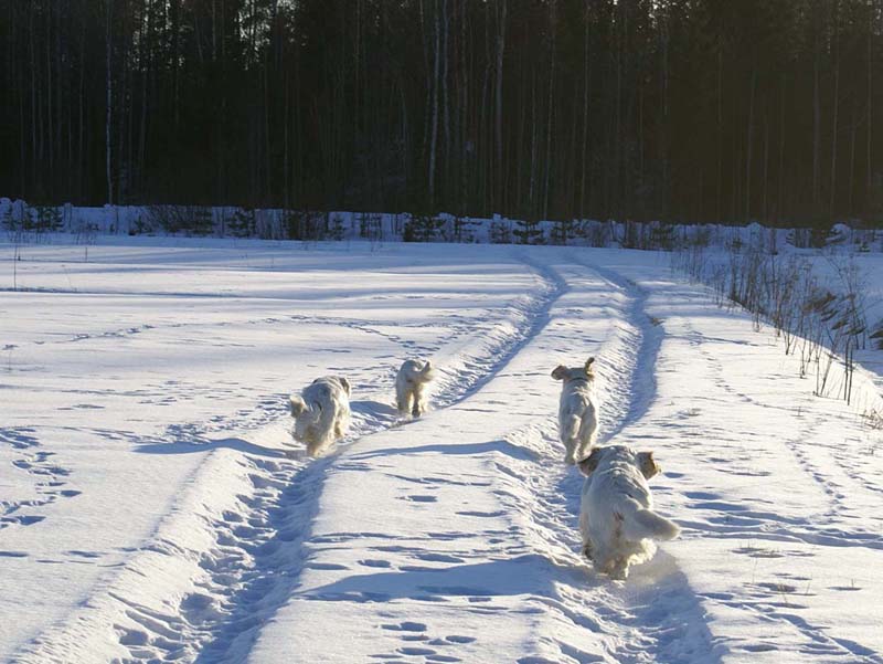 Vito_Reno_Cotton_Bumbaa_27March2009_a