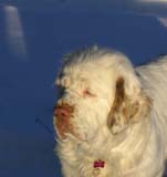 Bumbaa_27March2009_a