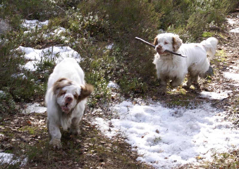 Bawo_Vito_31March2007_a