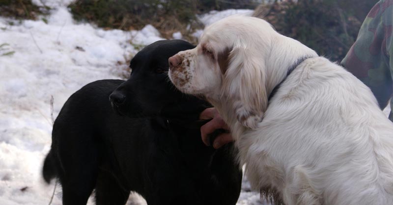 Bea_Riku_31March2007_a