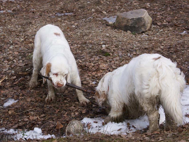 Cotton_Vito_31March2007_b