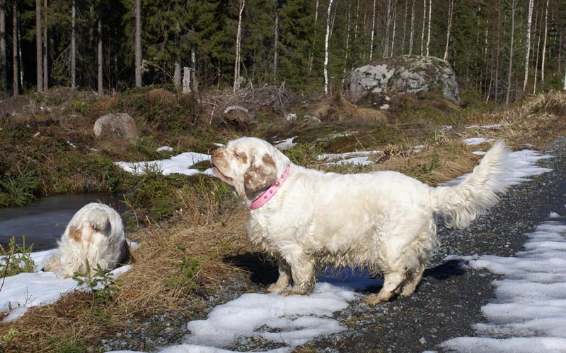 Elsa_Funky_31March2007_a