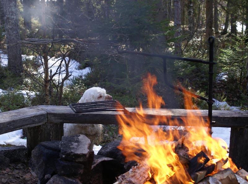 Elsa_ready_for_BBQ_31March2007_a