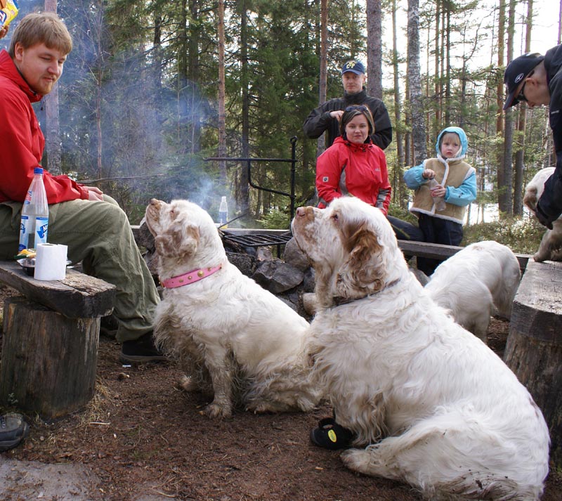 Funky_Elsa_31March2007_a