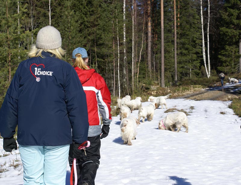 Group_of_SpiceTwices_31March2007_d