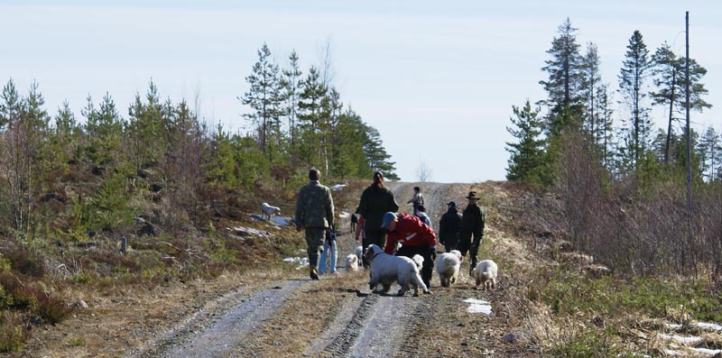Group_of_SpiceTwices_31March2007_g