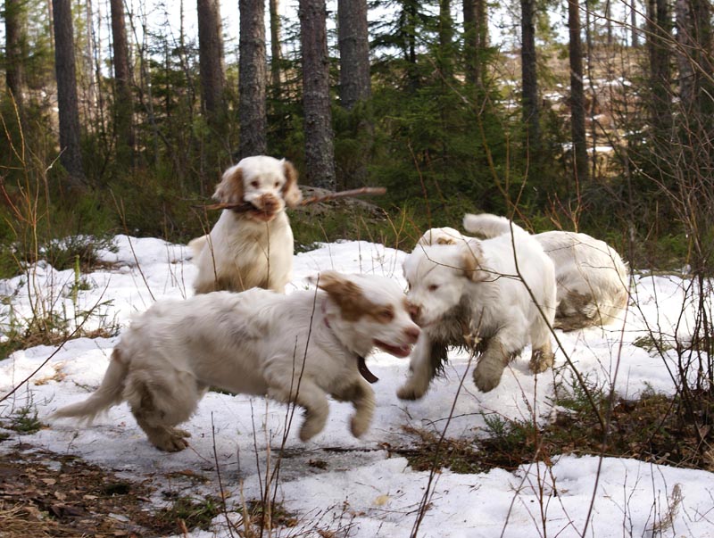 Sara_Valle_Vito_31March2007_a