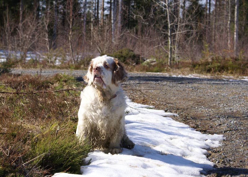 Speedy_31March2007_b