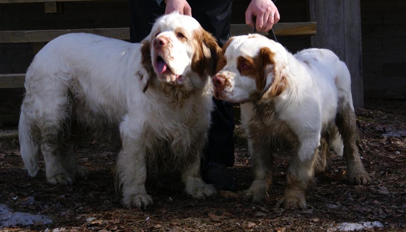 Speedy_Rocky_31March2007_c