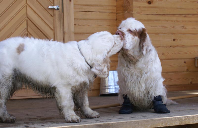 Valle_Snow_31March2007_a