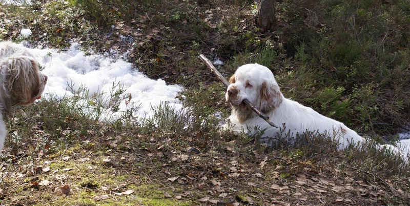 Vito_Bawo_31March2007_a