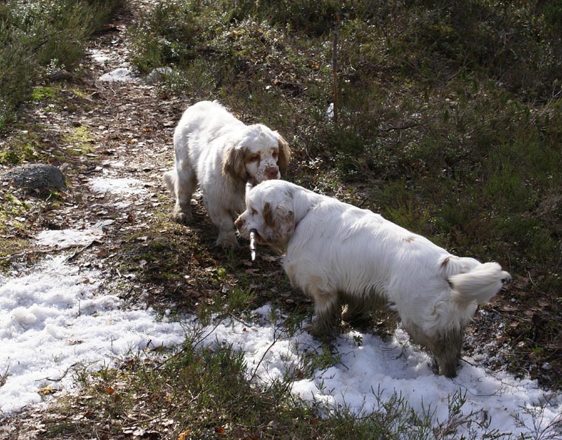 Vito_Bawo_31March2007_b