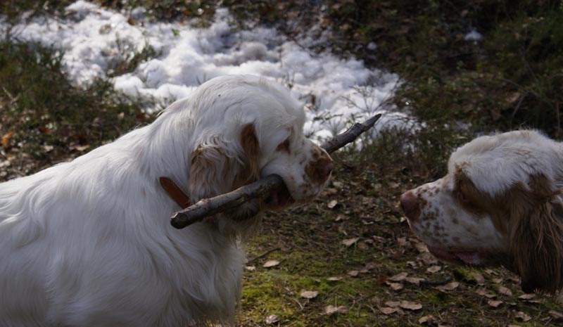 Vito_Bawo_31March2007_c