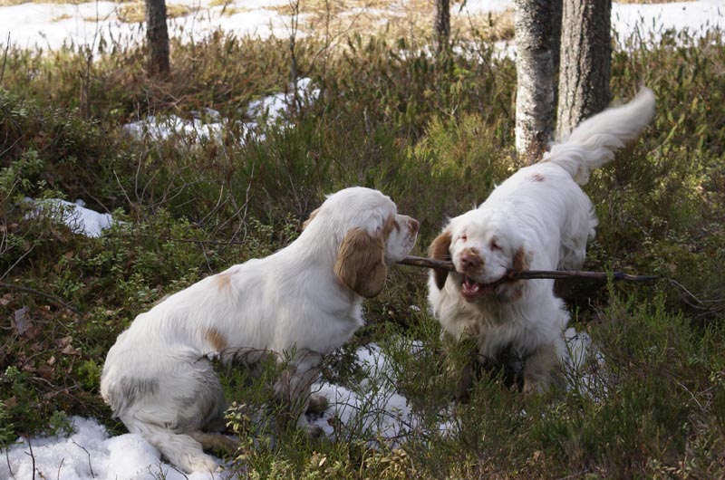 Windy_Vito_31March2007_a