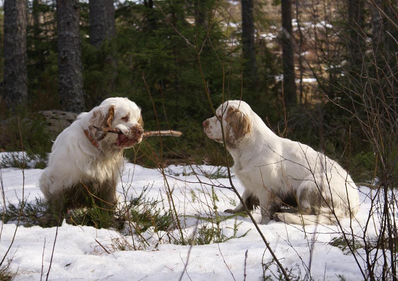 Windy_Vito_31March2007_b