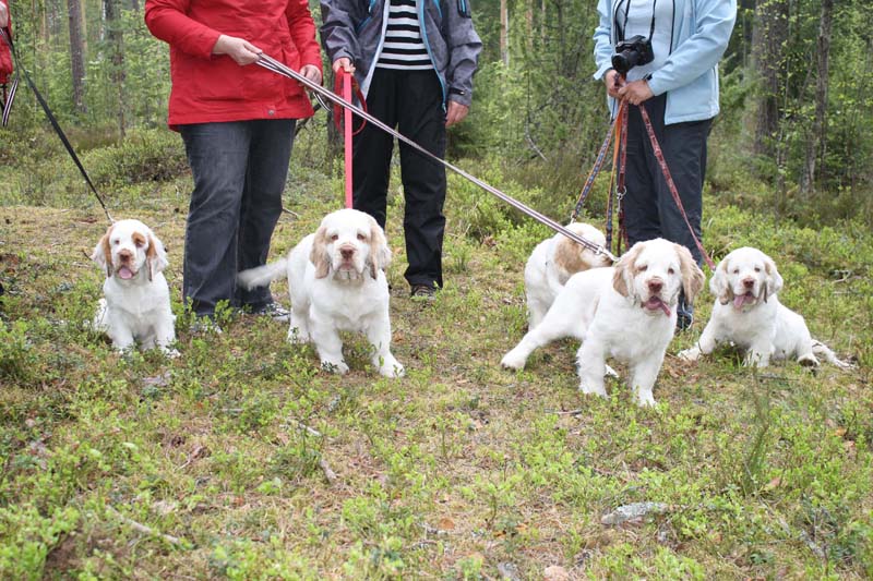 Marits_photos_RoundTableKnights_4months_Ella_Keke_Eddie_Flynn_Hilla