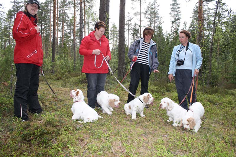 Marits_photos_RoundTableKnights_4months_Ella_Keke_Eddie_Hilla_Flynn