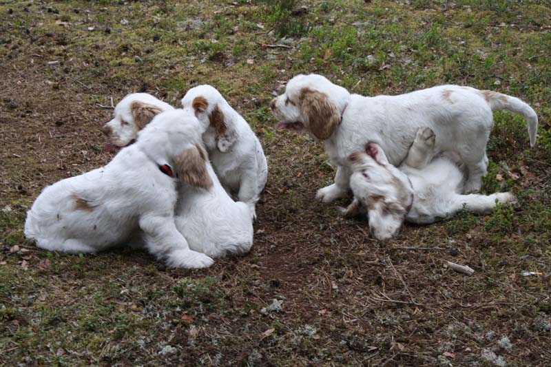 Marits_photos_RoundTableKnights_4months_f.gpg