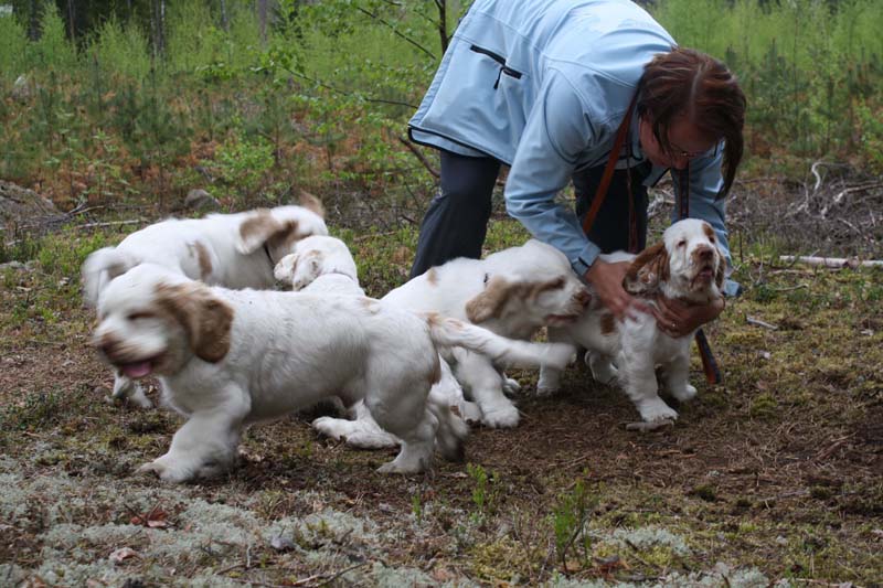 Marits_photos_RoundTableKnights_4months_with_Ira_C