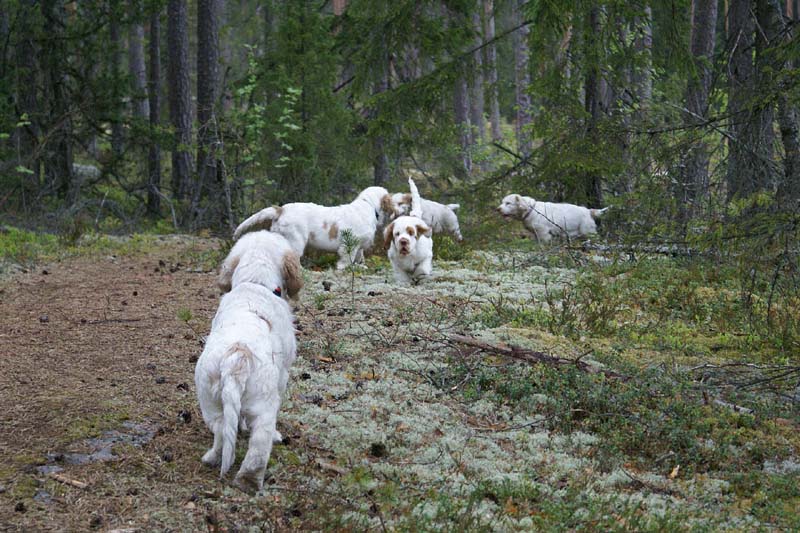 RoundTableKnights_4months