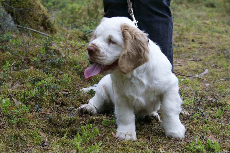 RoundTableKnights_4months_Eddie